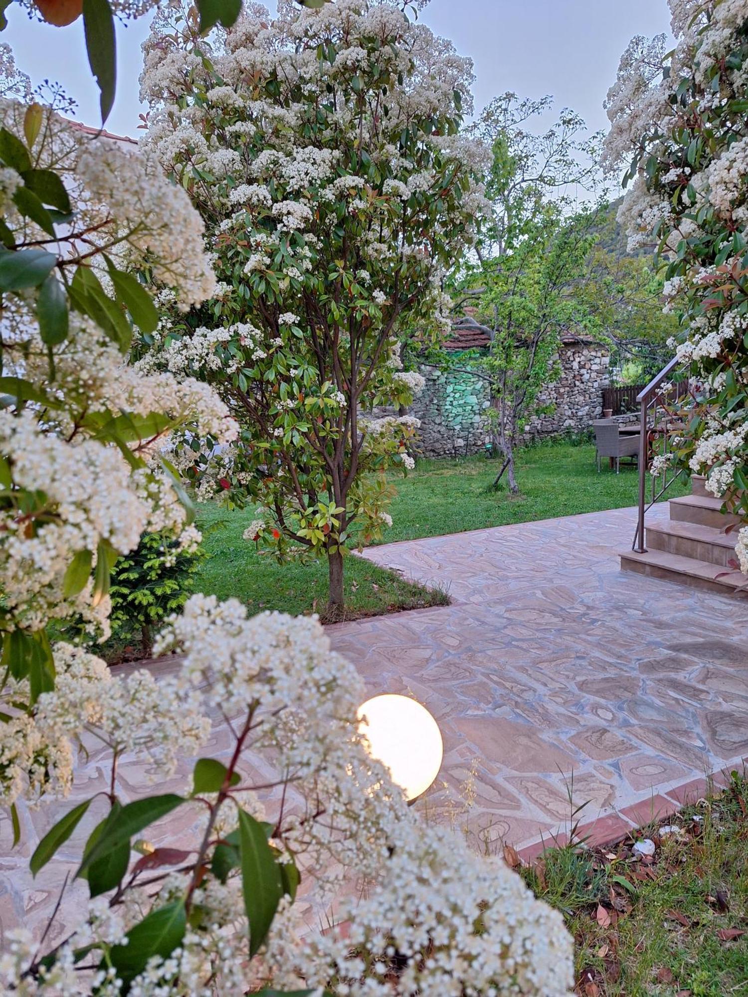 Country House On Mount Olympus Karia  Екстериор снимка